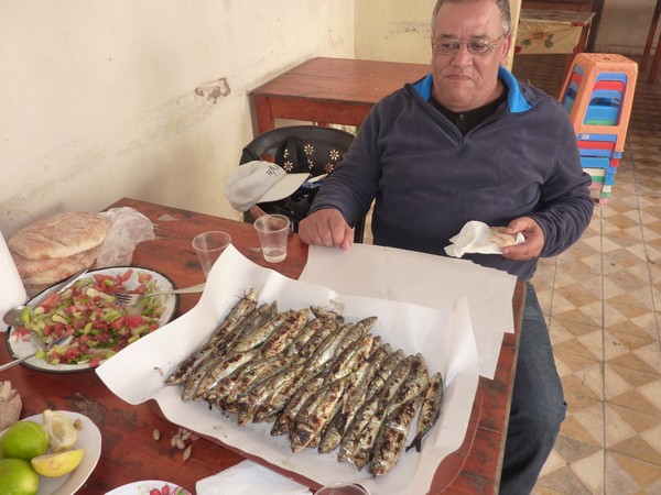sardines.JPG