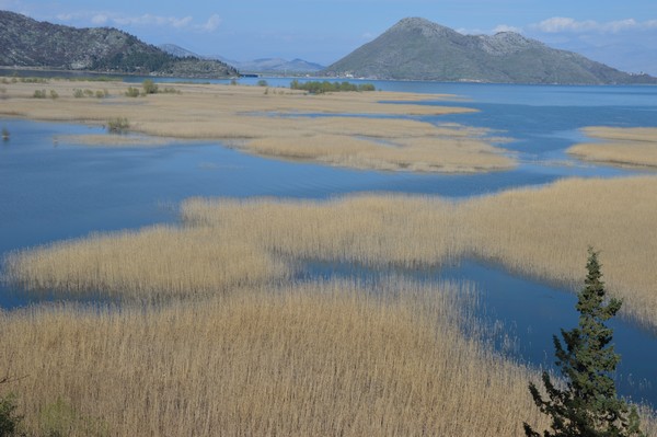 skadar3.JPG