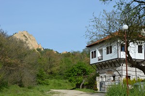 melnik3