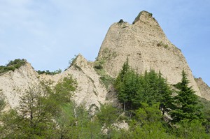 Melnik8
