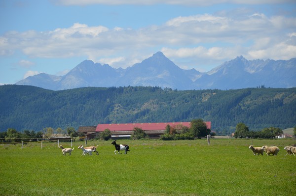 slovaquie-hauts-tatras